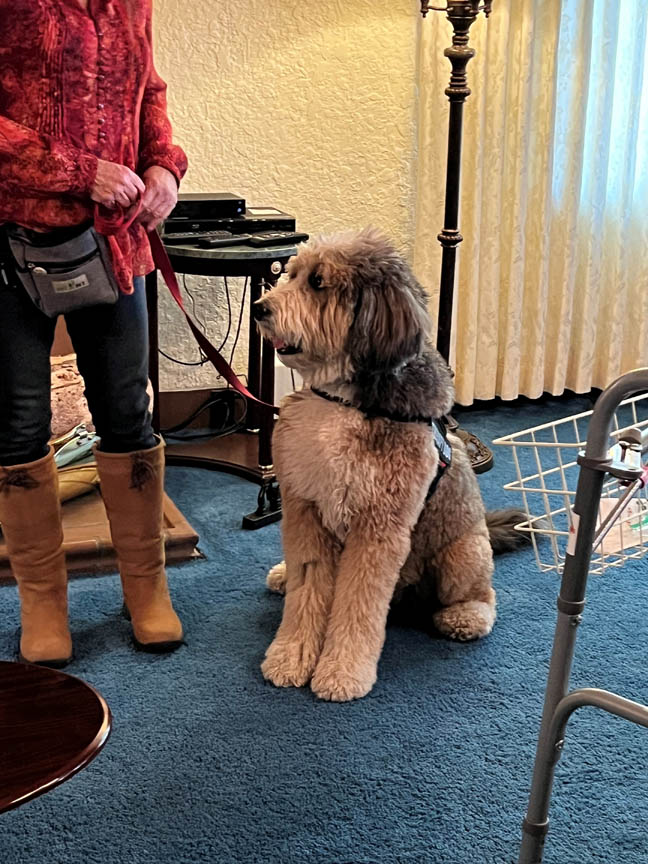 Soci-Visits-3