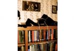 Library 2